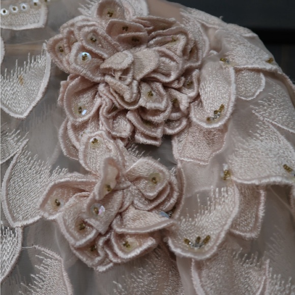 Stunning vintage sheer overlay - Picture 2 of 3